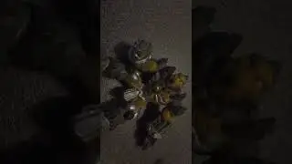 Ranking de los Gormitis m&aacute;s raros que tengo #5