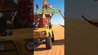Freddie and crew visit chalbi desert #roblox #disney #games #jesuslovesyou #jesussaves