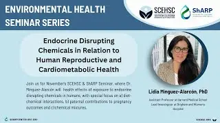 SCEHSC and ShARP Seminar with Lidia Minguez Alarcon, PhD, MPH