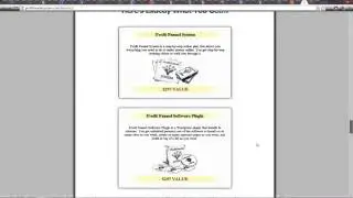 Brett Ingram -  Profit Funnel System Review