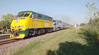 Metra 90 C&NW Heritage at Elmhurst, IL