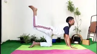 CAT POSE VARIATION, #yoga #yogaforbeginners #yogainspiration #catpose #backworkout #backpainrelief