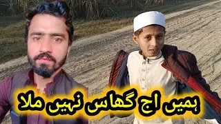 ghas ki talash fil&hellip; ansh ad agli bar male gi! mazahkiya gaon ki aawazin 😂