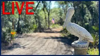 RV Chat Live: Pelicamp is complete part 2