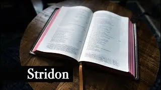 Schuyler Stridon NASB Marbled Mahogany