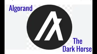 Algorand: The Crypto Lunatic Portfolio