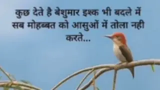 Rebound relationship psychology kya hai in hindi urdu by Niti Cold