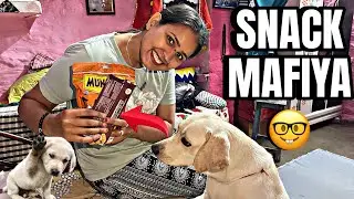 Itna Sara Dog Food? Ally Ki Reaction Dekho! 🐶🔥😱