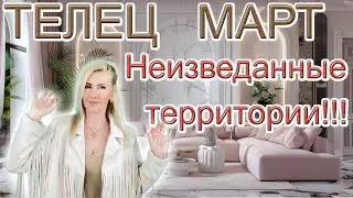 ТЕЛЕЦ - Таро прогноз для знака зодиака Телец на Март 2024 года от Yuliia M.