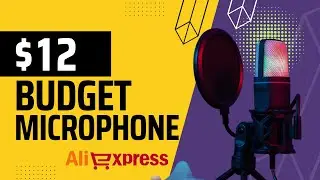 Is this the CHEAPEST microphone on AliExpress? YANMAI SF-666R Review
