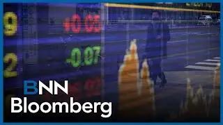 Fewer Canadian companies listed on stock market: Report
