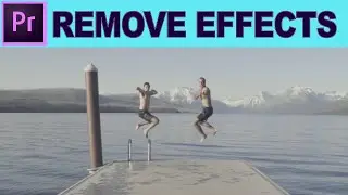 Удаление эффектов из клипов — удаление атрибутов — учебное пособие по Adobe Premiere Pro