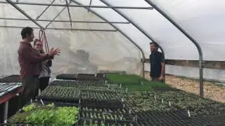 EarthDance Organic Farm School