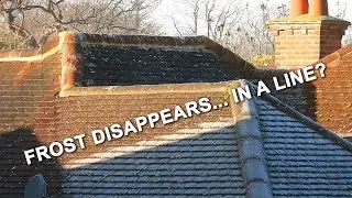 How Frost Disappears in a Straight Line #timelapse