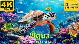 KITARO - AQUA | PIPERON | 4K ULTRA SUPER AI | BEST MTV