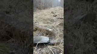 Bocznica kolejowa do Szybu Zbigniew Kopalni Bobrek w Bytomiu