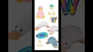 WEBKINZ #shorts