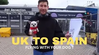 Flying to SPAIN from the UK with your dog #TRAVELDOG #dogfriendly