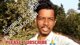 Singrauli jile me 6 lakh pedh ki katai