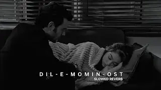 Dil-e-Momin | Rahat Fateh Ali Khan | Slowed Reverb