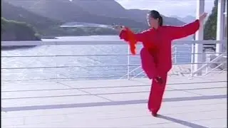 Wu-Style 13 Form Tai Chi Dao