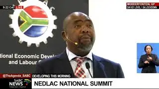 Nedlac Summit | Labour and Employment Minister Thulas Nxesi addresses national summit