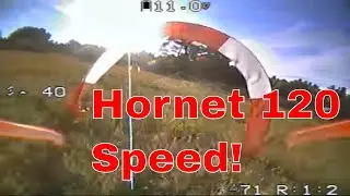 HGLRC hornet 120