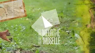 [ CONSEIL DEPARTEMENTAL DE MEURTHE-ET-MOSELLE ]