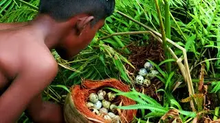 PRIMITIVE HUNTING SKILLS 🍖 || Finding Quail Egg in the Village And cooking eating Delicious