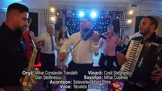 Nou 2020 - Sarba Adevarata 30 min cu Nicoleta Muresanu - Cea mai Tare Sarba Olteneasca