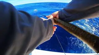 Fly Fishing for Sailfish in Guatemala (Part 2)