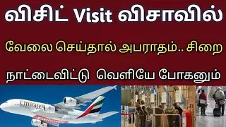 dubai visit visa update | tamil news | uae visit visa news today | tnjobacademy |UnitedArabEmirates