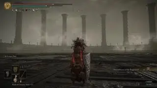 ELDEN RING Samurai vs Dragon Lord