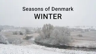 Seasons of Denmark - Winter (a timelapse film from Skjoldungernes Land National Park on Zealand)