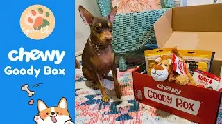 Squid The Chipin | Chewy Goody Box unboxing haul
