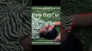 Boy Bestie / Dulanjali / Joshua Jay