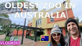 WHAT TO SEE IN MELBOURNE ZOO + WALKING TOUR 2022 + FILIPINA AUSTRALIAN VLOG +4K