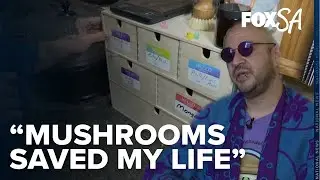Church offers psychedelic shrooms