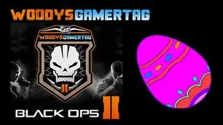 Black Ops 2 Easter Egg (Raid)