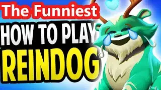 The FUNNIEST How to play Reindog (Move List, Tips and Tricks) - Multiversus