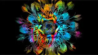 • A I N U • Amazonas 🌳 ainu.net #musicvideo #indigenous #ethnic #nature #electronicmusic