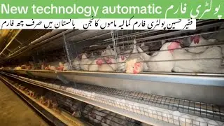 Full new technology automatic system پولٹری فارم 🐓 پاکستان میں بہت کامیاب فارم میں سے ایک 👍👍👍