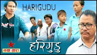 Harigudu, nepali short movie by naya tara / NEW NEPALI  FILM 2022