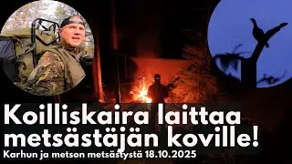 Vaativa Koilliskaira laittaa metsästäjän koville! Vaellusmetsästäjä K1:J07
