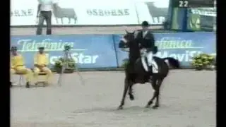 Dermott Lennon (IRL) & Utfors Mynta - 2002 Show Jumping World Championships, WEG, Jerez, Spain