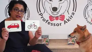 Demonstration - Learning Objects