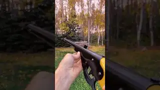 Daisy Buck BB gun