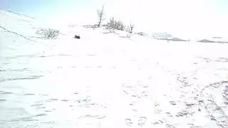 MOV02560