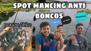 Spot mancing di jatiluhur anti boncos // strike bertubi tubi // panen strike ikan nila