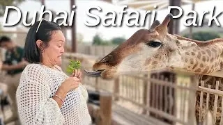 My American in-laws react to Dubai Safari Park | VIP experience 